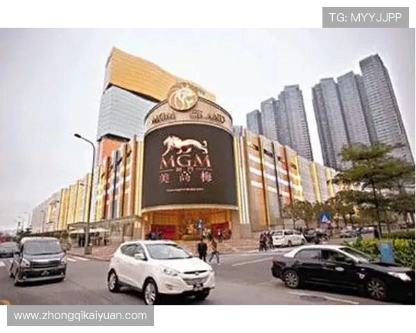 美丽的高端赌场环境中梅花装饰如何提升整体氛围与玩家体验