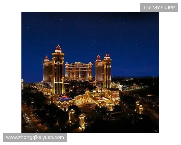 澳门十大娱乐场所法人代表的法律责任与合规管理策略 澳门十大娱乐场所法人代表的法律责任与合规管理策略