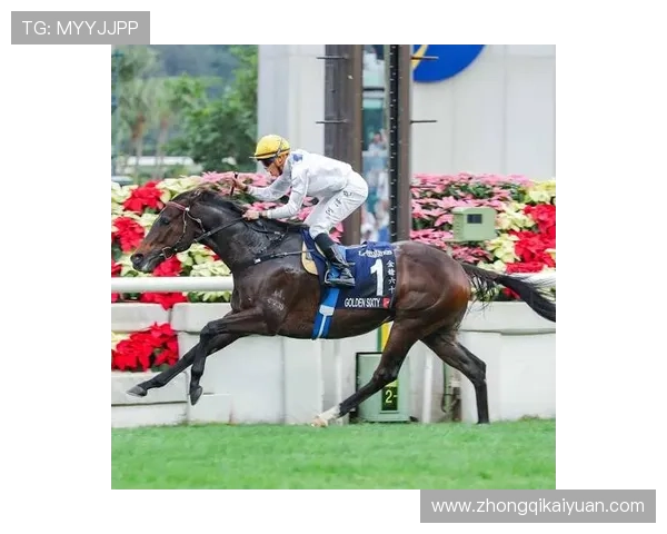 hkjc官方网站最新资讯与全面指南，帮助用户轻松掌握赛马投注技巧