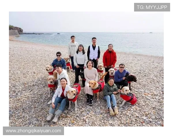 2026年最新赛马会网址登录线路推荐，确保每次登录都稳定顺畅无障碍