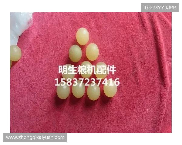 亚博棋牌网站如何选择正规平台保障玩家资金与信息安全