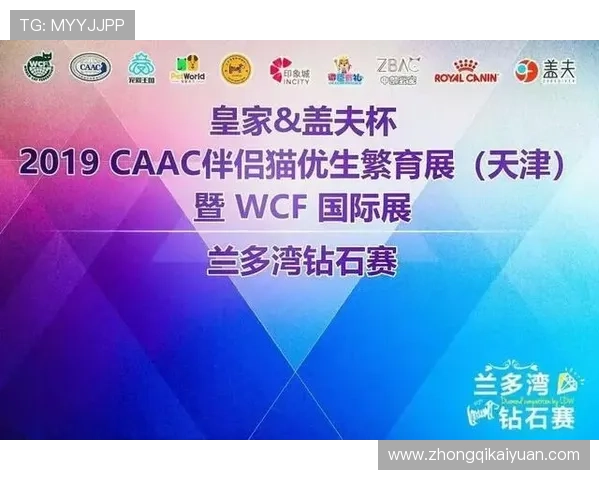 皇家国际安全支付保障措施，确保每一笔交易都安全可靠